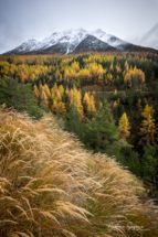 L'hiver arrive dans les Hautes-Alpes (05)